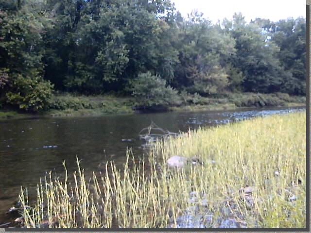 Beached on an island for lunch
