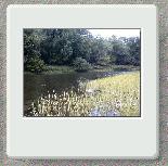 Beached on an island for lunch