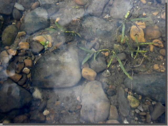 Beached on an island for lunch