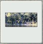 The ruins of an old stone wall